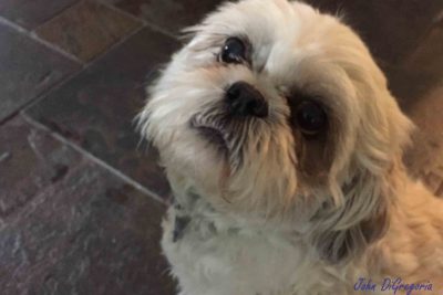 Photo of Brady looking up at the camera.