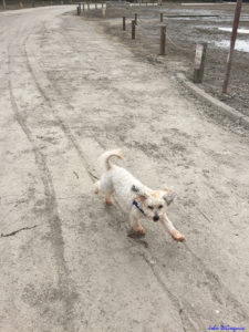 Photo of me running on the soft mud left on the road by flooding.